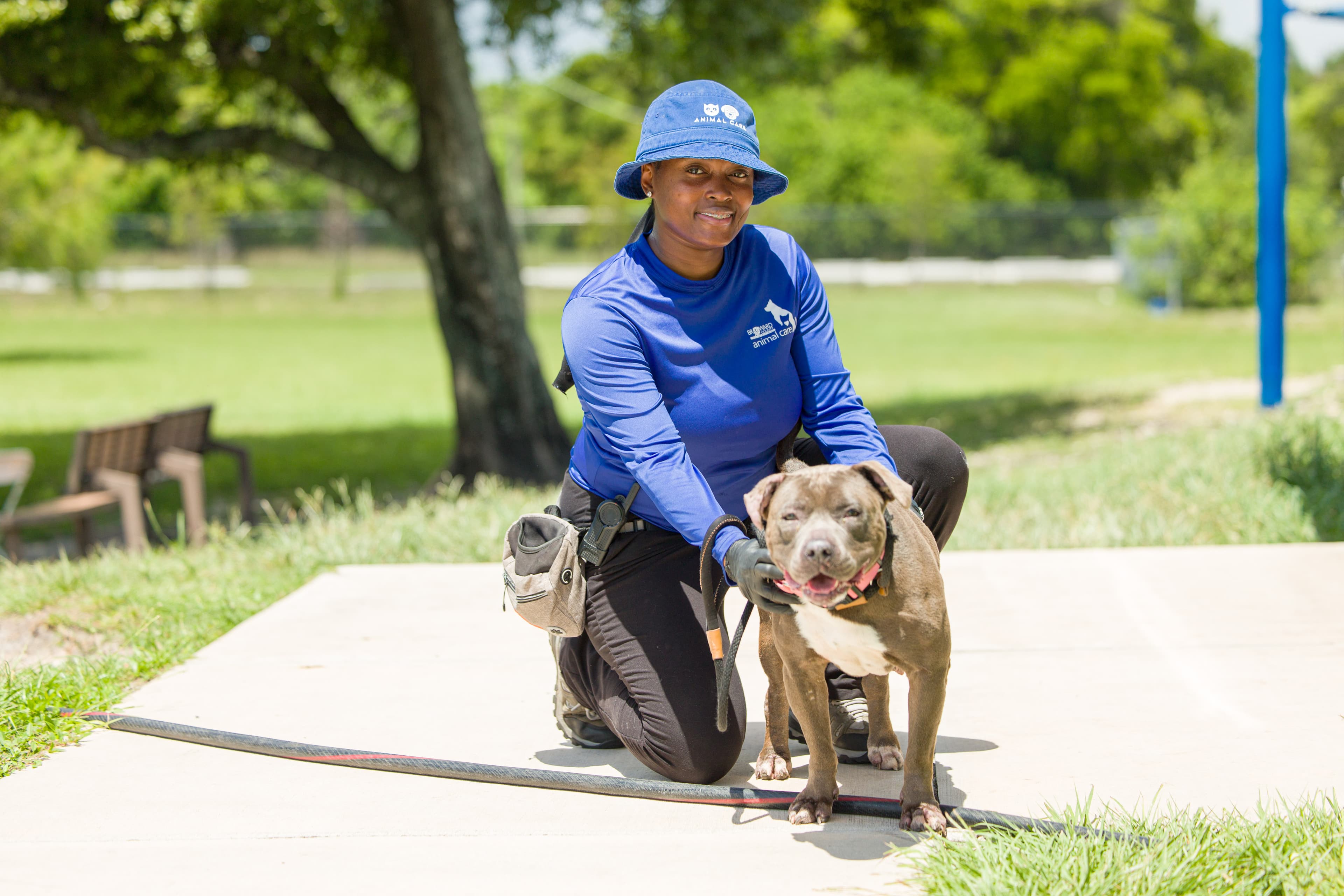 Three ways to keep your pet safe in Broward County