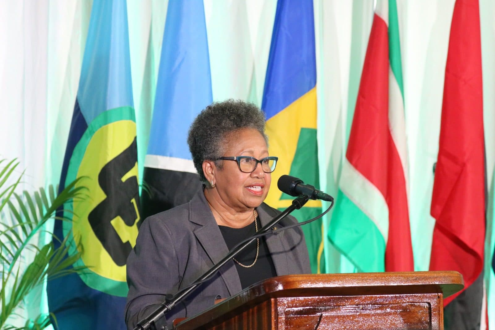 CARICOM chief calls for stronger coordination of international support for Haiti