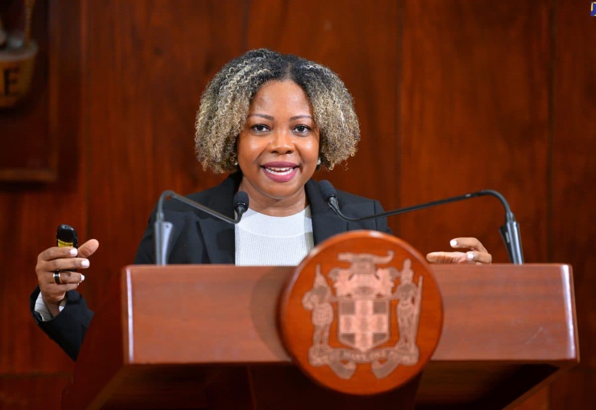 Jamaica stresses US initiated Third Country Nationals transit deal