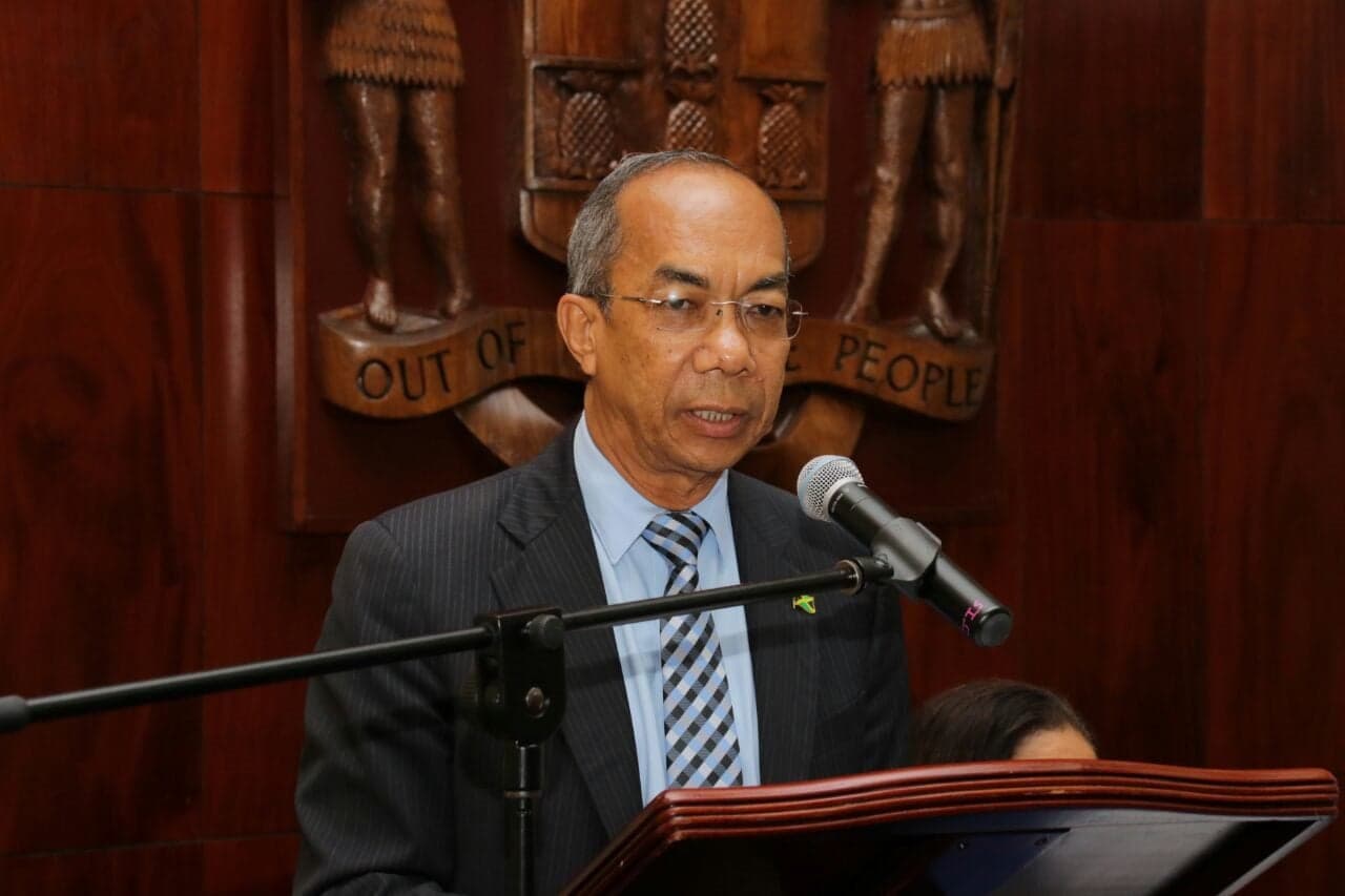First batch of non-Jamaican deportees can stay in Jamaica, says Minister Chang
