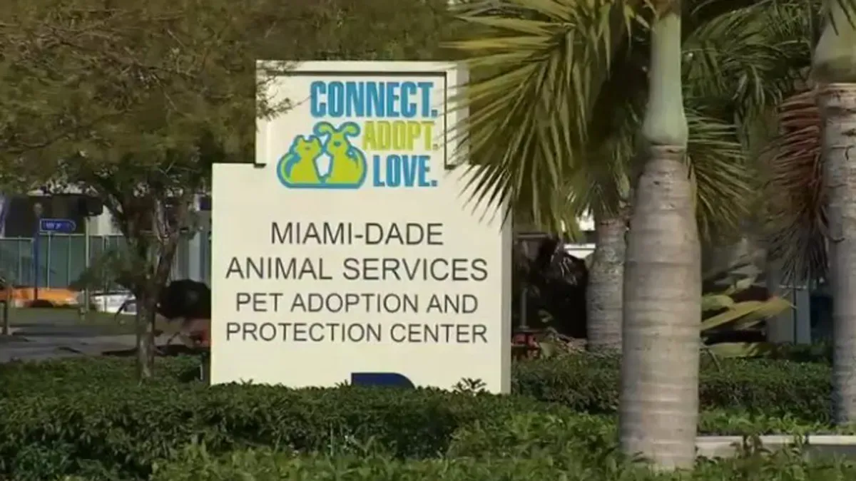 More than 3,700 animals seized in largest animal cruelty case in Miami-Dade history
