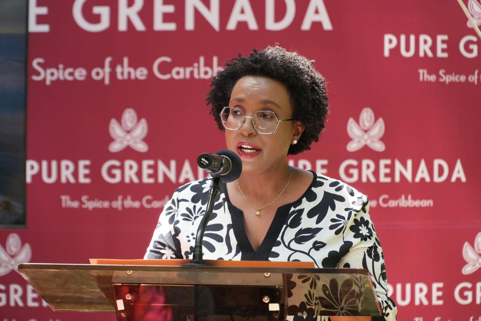 Grenada projects visitor spending will exceed EC$1 billion for second year