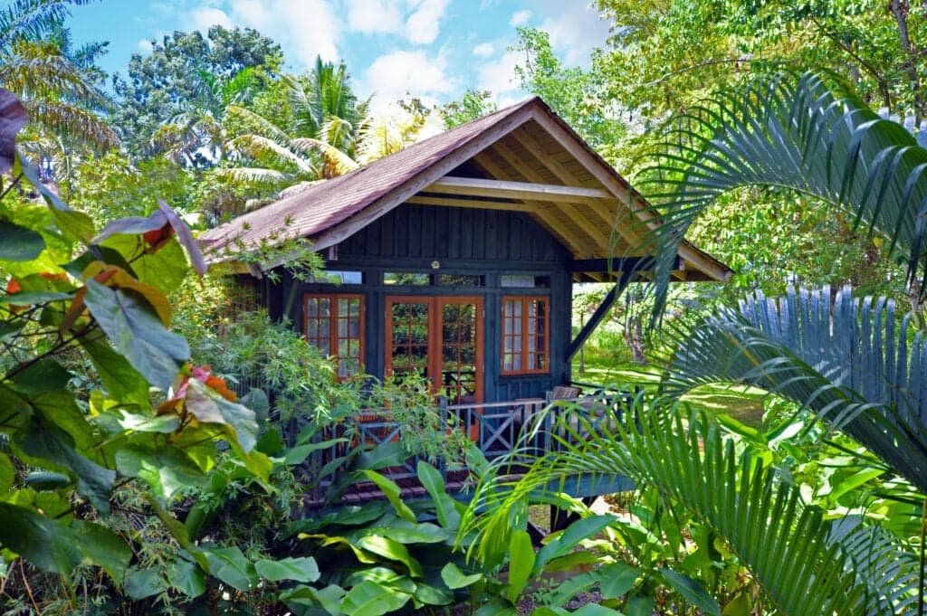 At Sunset at the Palms, a Negril treehouse becomes the perfect place to press pause