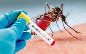 Miami-Dade, Palm Beach issue dengue alerts after locally acquired cases