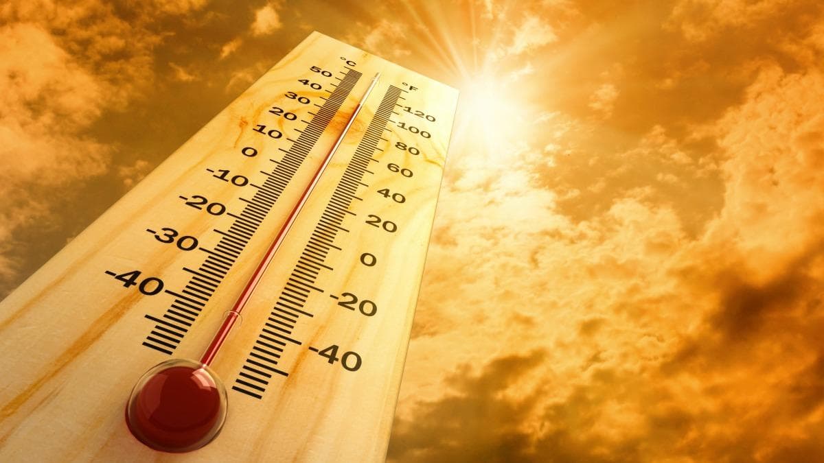 Caribbean urged to brace for worsening heat, drought as El Niño strengthens