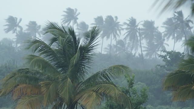 When Jamaica's dry weather thinking meets reality