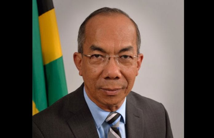 Jamaican government advances plans for STEM and STEAM education ...