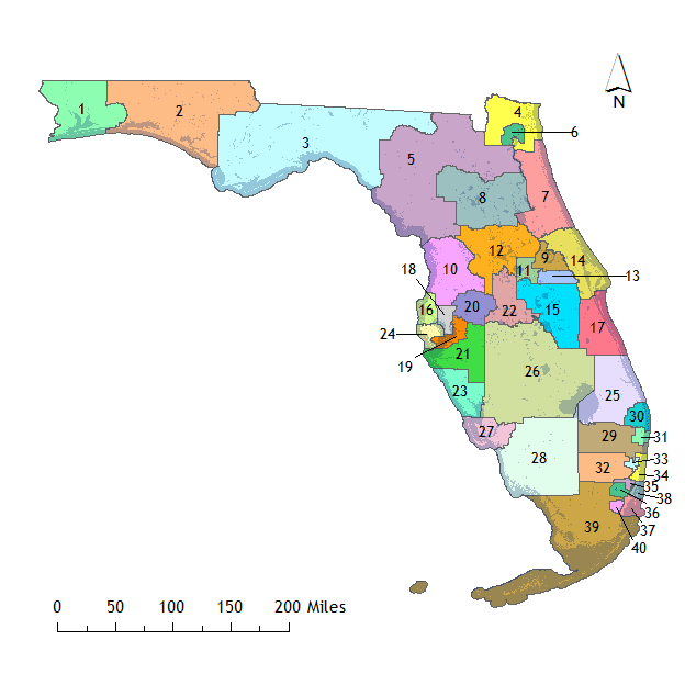 Florida appeals court reinstates DeSantis congressional map