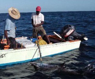 Guyana condemns Suriname’s harassment of Guyanese fisherfolk