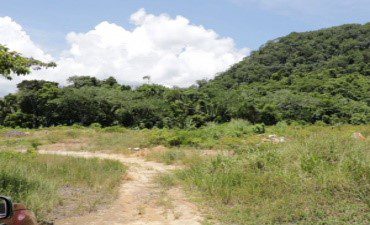 Belize Government not supportive of plan for US company to acquire land for mining