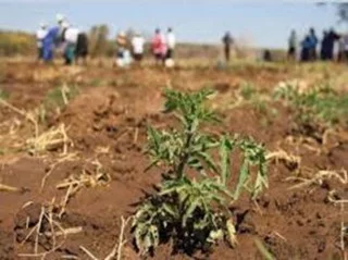 Less rainfall in the region as dry season continues