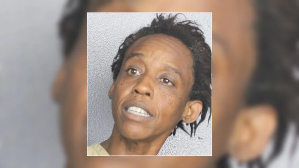 Woman arrested in fatal stabbing of another woman off I95 in Broward