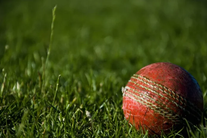 cricket ball