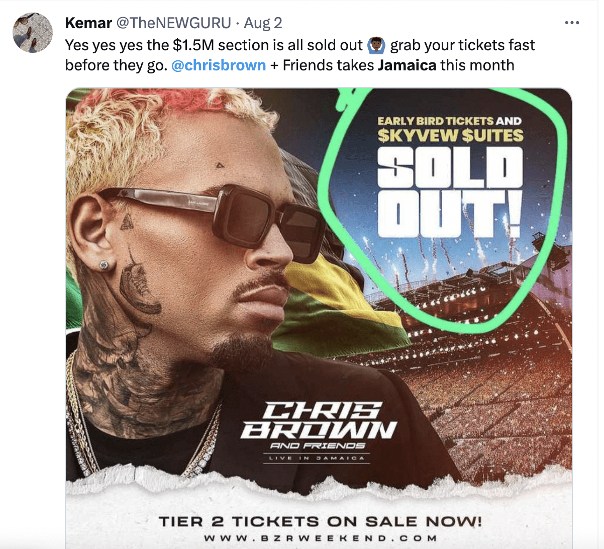 Fans take out loans to afford tickets to Chris Brown’s concert in