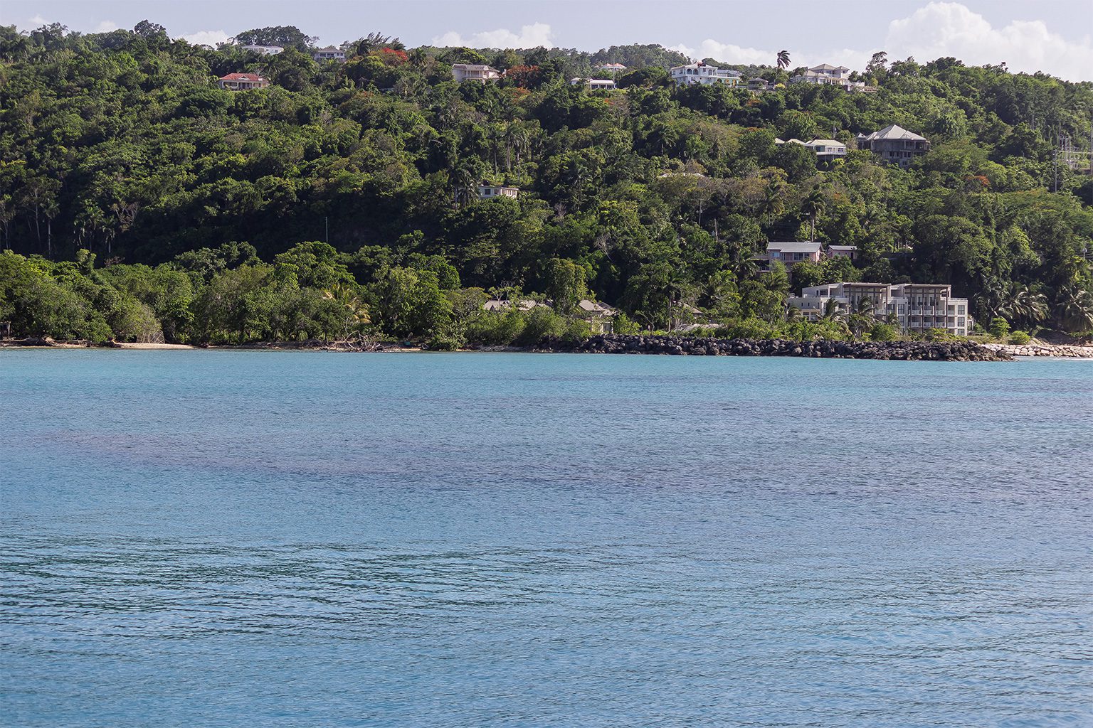 Oracabessa Bay’s urchin nursery: Jamaica's effort to restore the ...