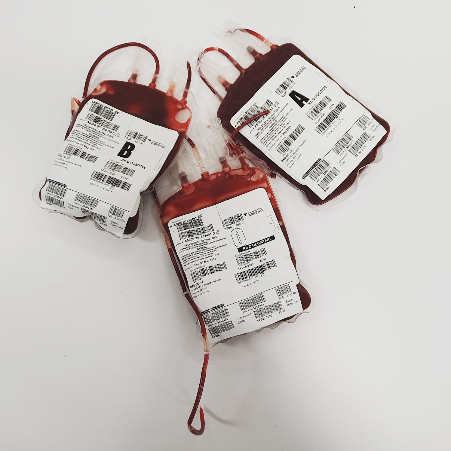 Jamaicans encouraged to donate blood amid dengue outbreak - CNW Network