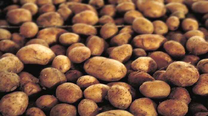 irish potatoes