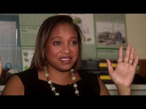 Trinidadian scientist Dr Legena Henry leads project for first Sargassum-powered vehicle