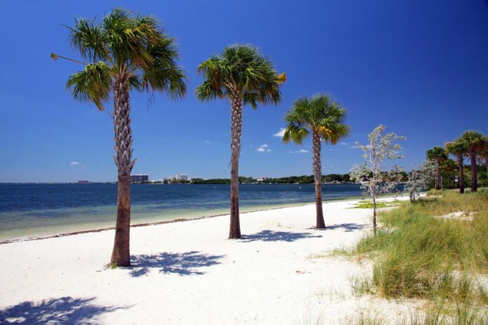 North Hobie Island Beach reopens for first time since 2017