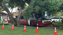 Tour bus crashes into tree outside Bayside Marketplace