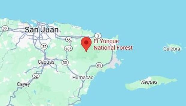 American man missing in thick Puerto Rico rain forest