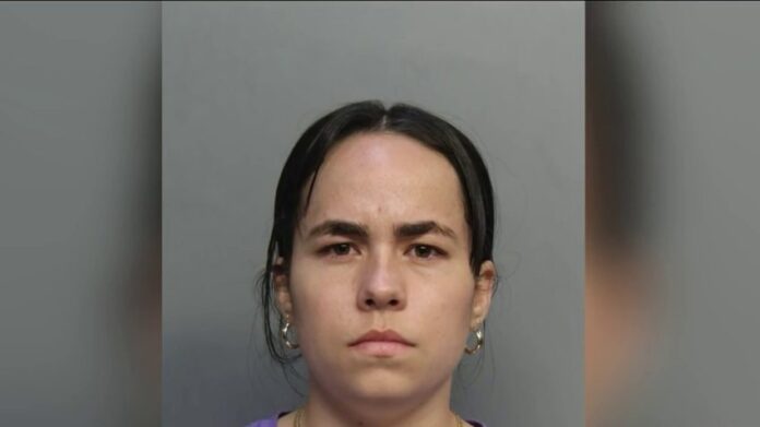 Teacher Pleads Guilty to Abusing 2-Year-Old at Miami-Dade School